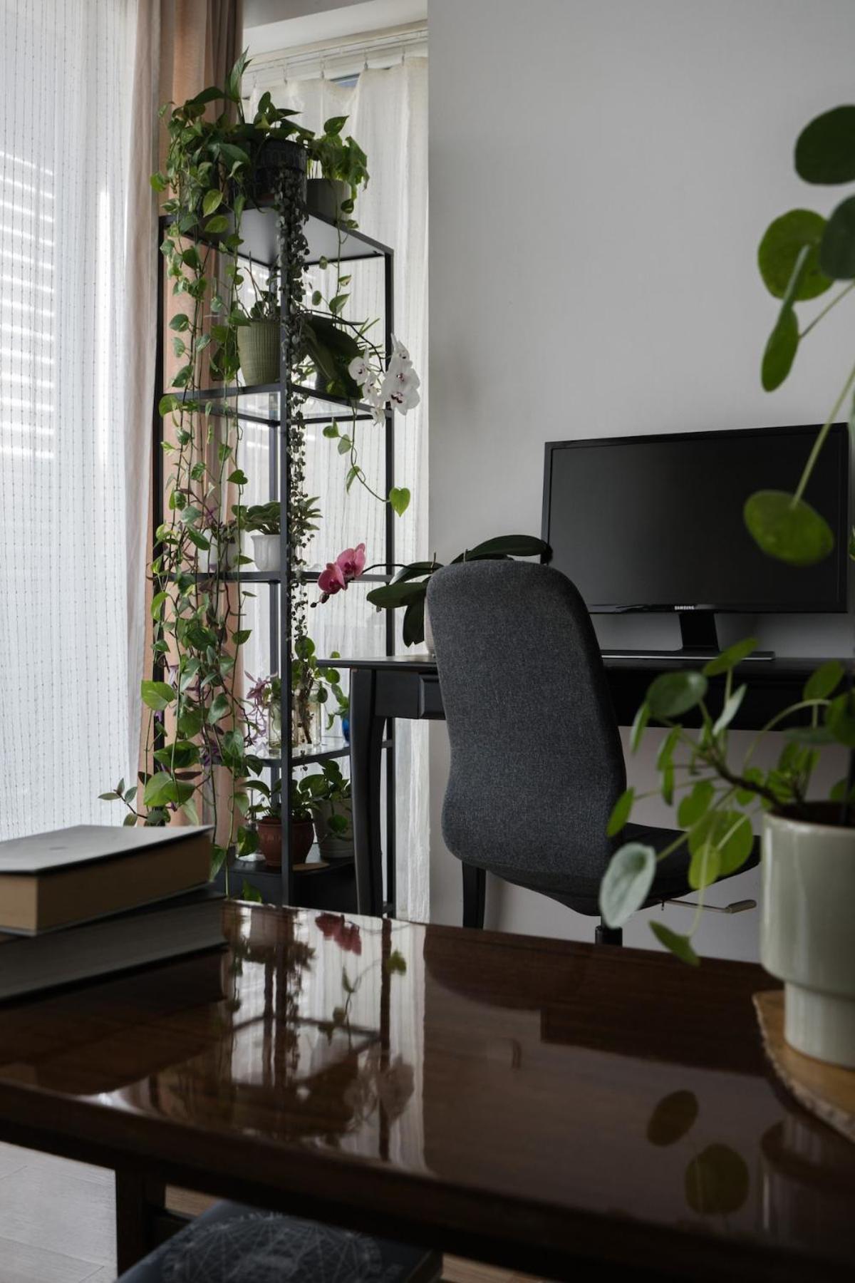 Artist's - Urban Oasis Apartmán *