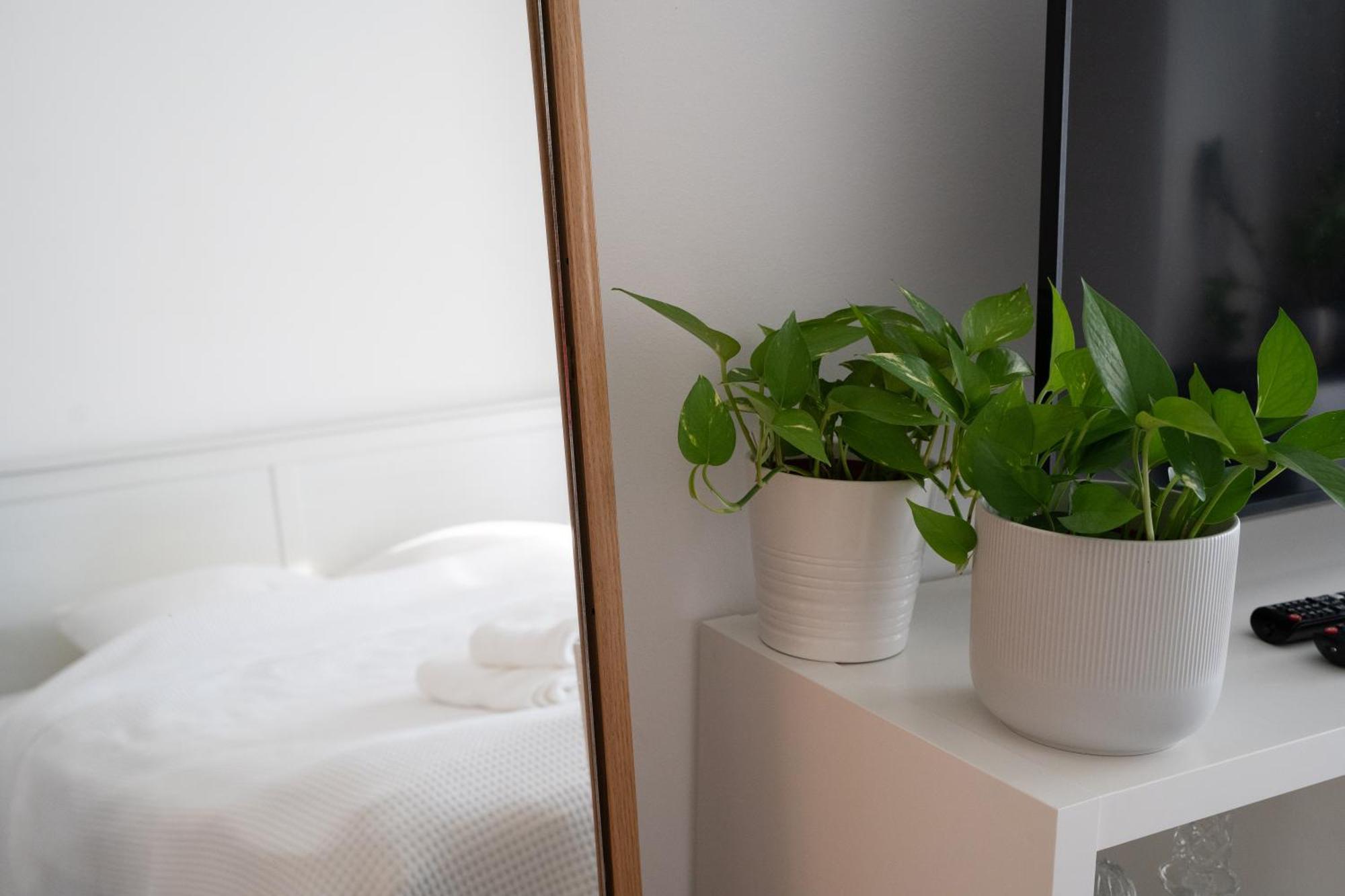 Apartmán Artist's - Urban Oasis *