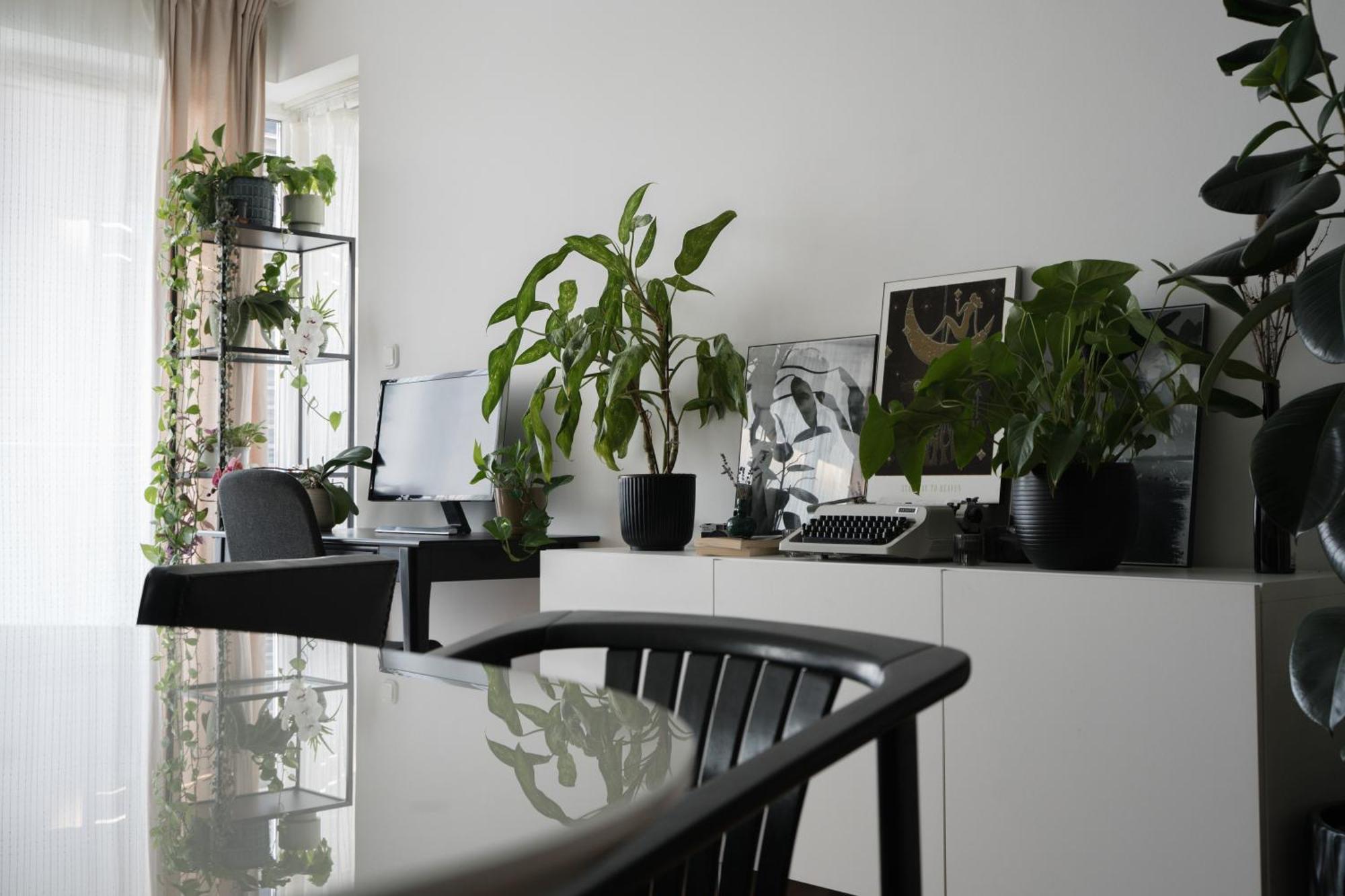 Apartmán Artist's - Urban Oasis *